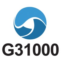 G31000 Risk Institute Logo