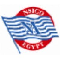 national shipping & investment Logo