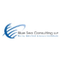 Blue Sea Consulting LLP Logo