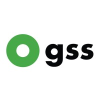 Global Systems & Software Logo