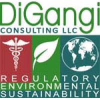 DiGangi Consulting, LLC Logo