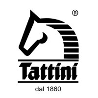 Tattini srl Logo