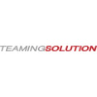 TeamingSolution Logo