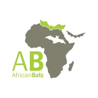 AfricanBats NPC Logo