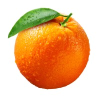 Reclamebureau Orange Design Logo