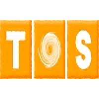 The Other Storm Logo