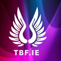 The Business Fairy Digital Marketing Agency Logo