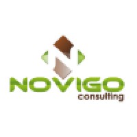 Novigo Consulting Logo