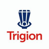 Trigion Security Services Ltd Logo