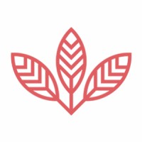 Designbysoap Ltd Logo