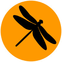Amber Biology LLC Logo