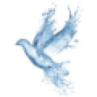 Dove Marine Management Services Logo