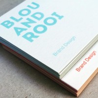 Blou and Rooi Branding Logo