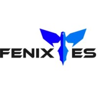 Fenix Engineering Solutions Logo