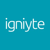Igniyte | Expert online reputation management for businesses, brands and individuals Logo