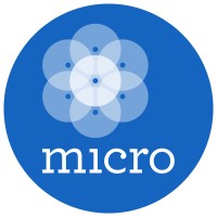 Micro Logo