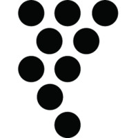 The Vine Church Limited Logo