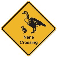 Nene Crossing Holding Logo