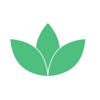 050media Logo