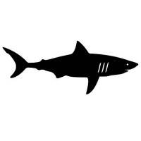 Pelagos Custom Logo
