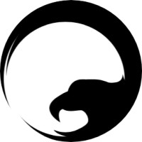 Falcon Building Project SAGL Logo