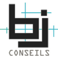 BJ Conseils Logo