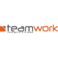 TeamWork Italy Logo
