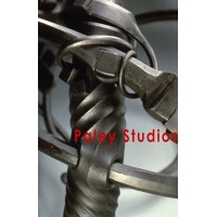 Paley Studios Logo