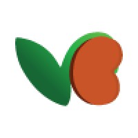 VentureBean Consulting Private Limited Logo