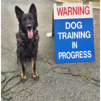 Explosive Countermeasures International, Inc. Logo