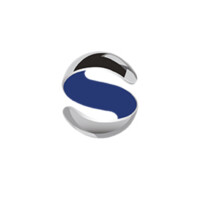 Signium - Stein & Partner Logo