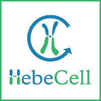 HebeCell Corp Logo