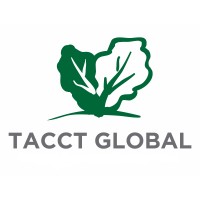 TACCT GLOBAL Logo