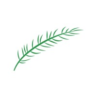Spruce Town Planning Ltd Logo