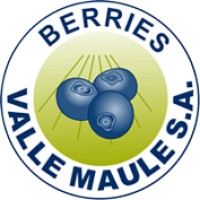 Valle Maule S.A. Logo
