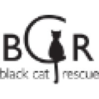 Black Cat Rescue Logo