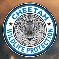 CheetahCenter Logo