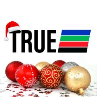 True Securitizadora Logo