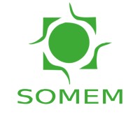 SOMEM Logo