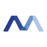 VESAM Group Logo