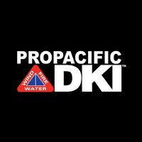 DKI - Pro Pacific Logo