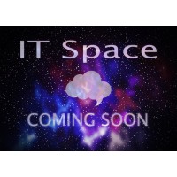 IT Space Logo