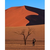 Dany Eid Photography Logo