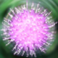 Meshed Insights Ltd Logo
