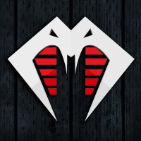 PYTHON FLY Logo