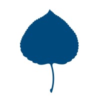The Aspen Institute Central Europe Logo