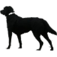 Blackdog Sarl Logo