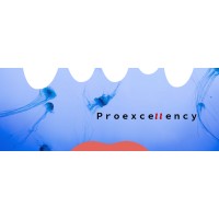 Proexcellency solutions pvt ltd Logo