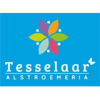 Tesselaar Alstroemeria Logo
