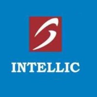 Intellic Systems Logo